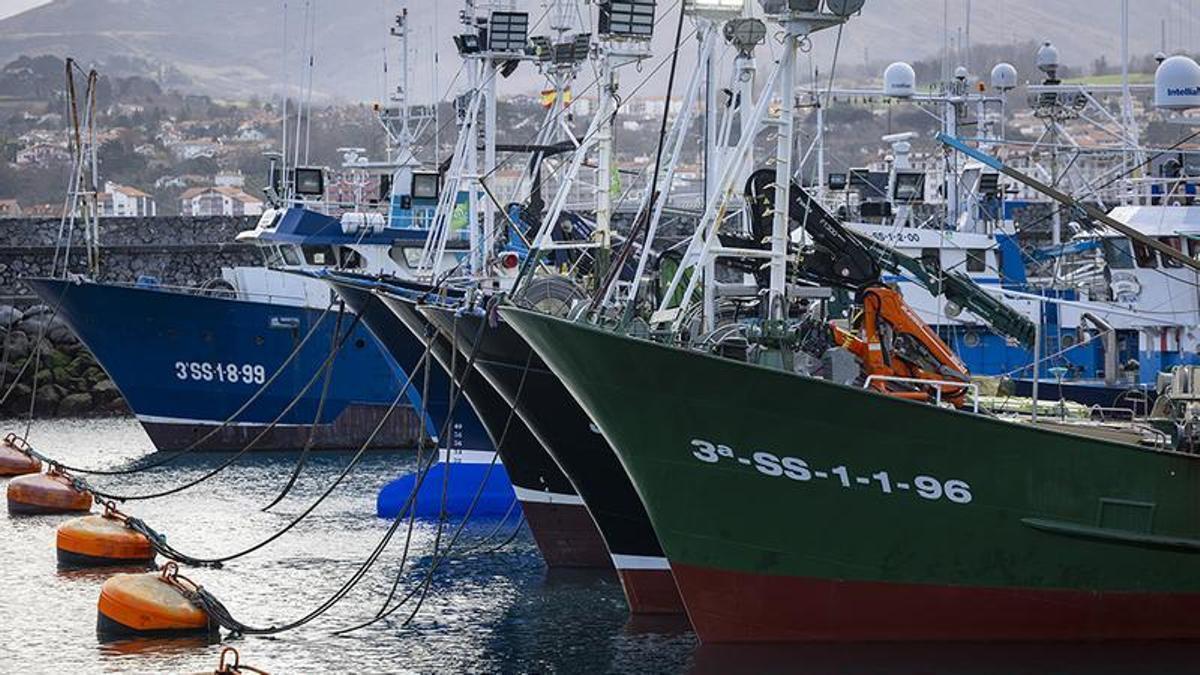 Pesqueros de bajura amarrados en el puerto de Hondarribia (Gipuzkoa)