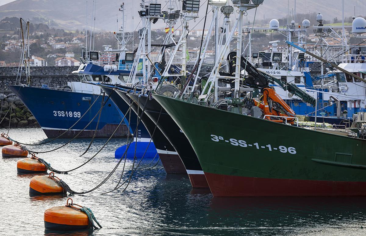 Pesqueros de bajura amarrados en el puerto de Hondarribia (Gipuzkoa)