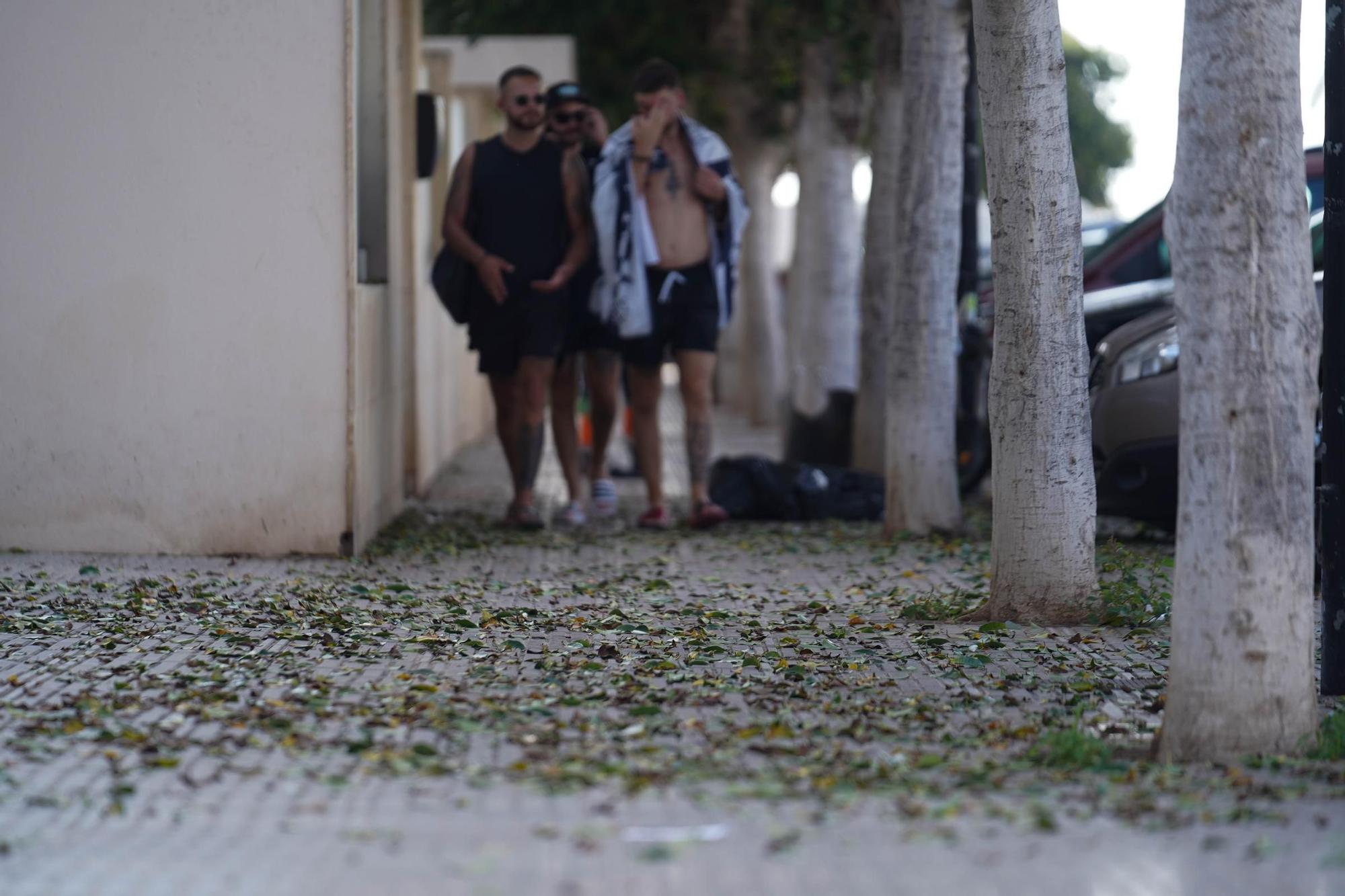 Galería: Este es el estado del barrio de Platja d'en Bossa