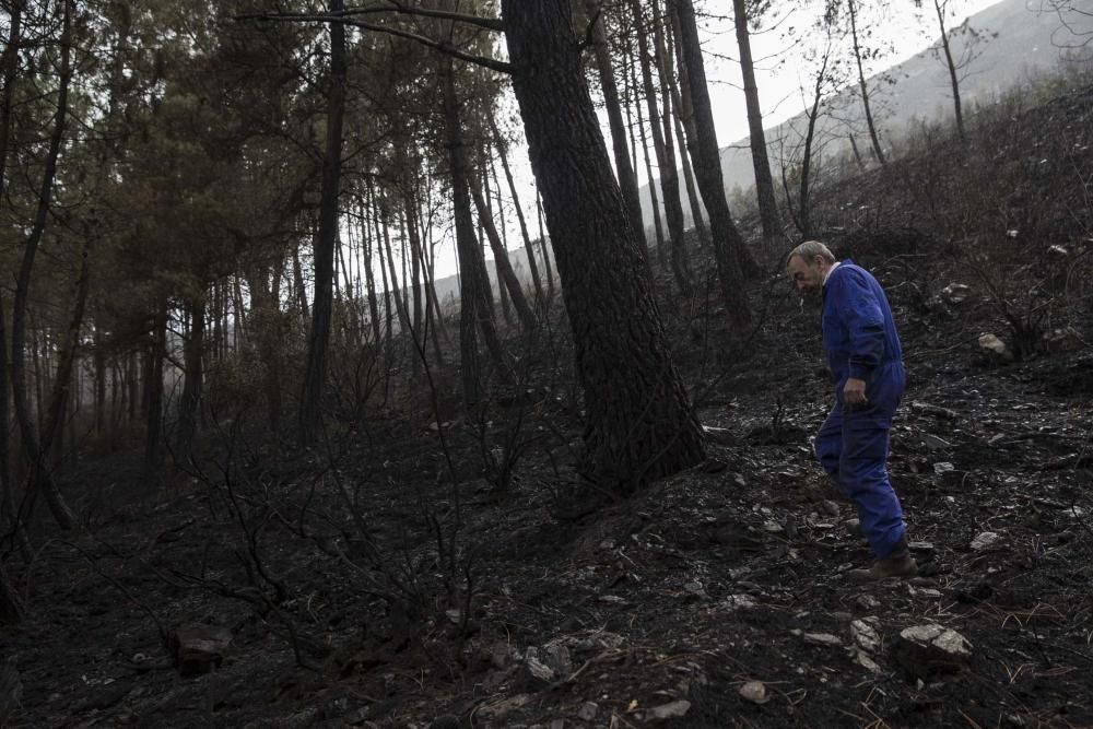 Desolación en el suroccidente asturiano tras los incendios