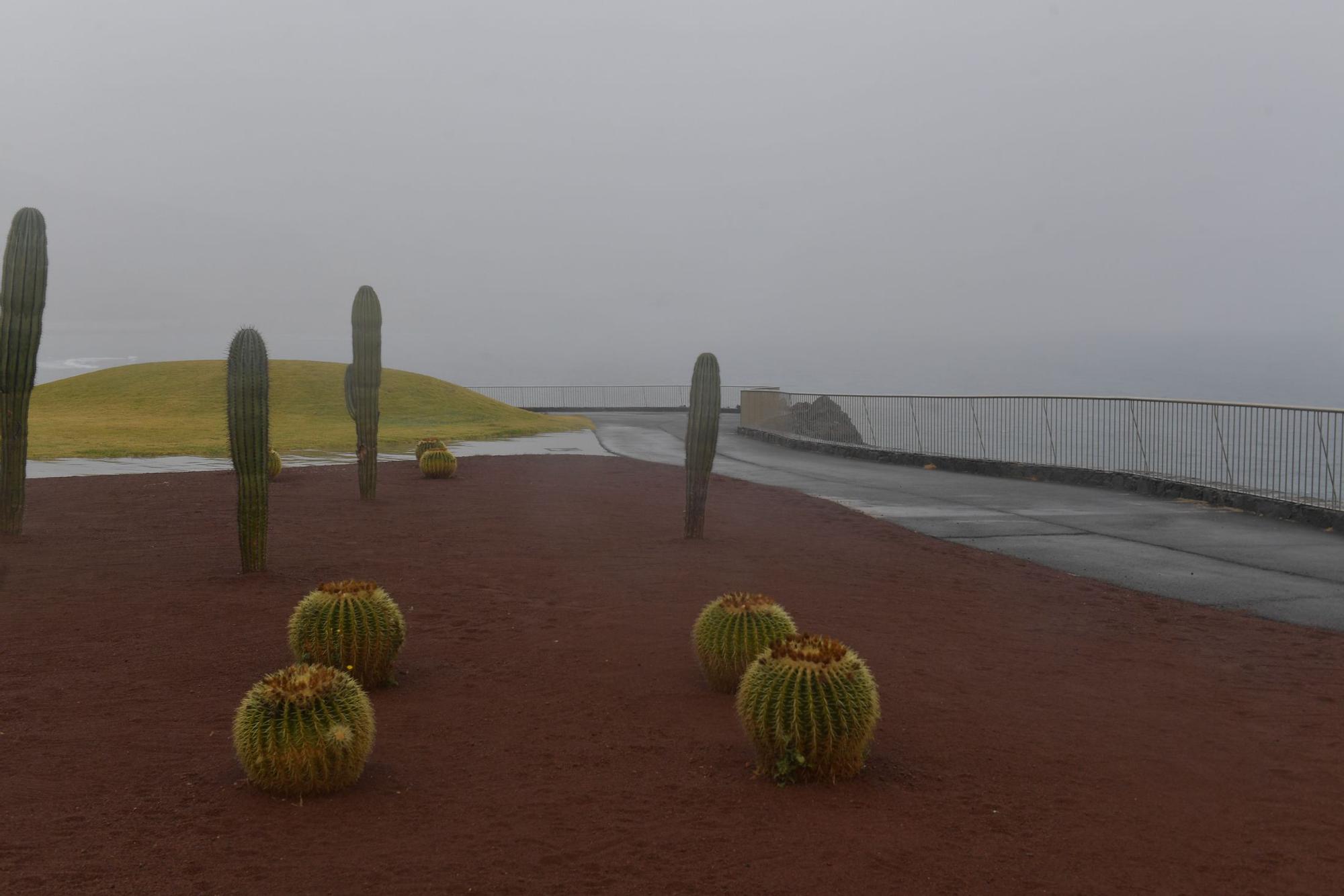 Tiempo en Gran Canaria (03/08/2021)