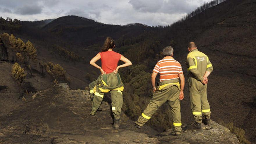 Brigadistas en un incendio en Navia de Suarna / Eliseo Trigo (Efe)