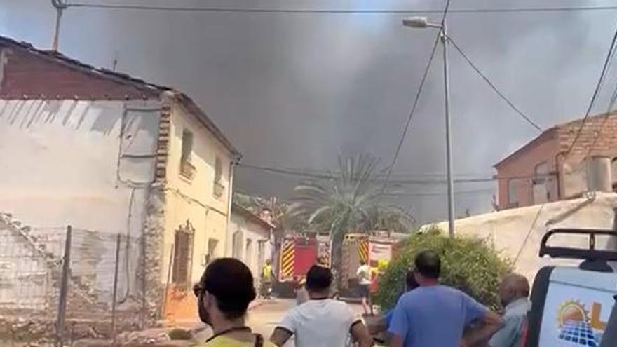 Arden bancales en una zona de huerta, entre Ronda Sur y Santiago y Zaraiche, Murcia