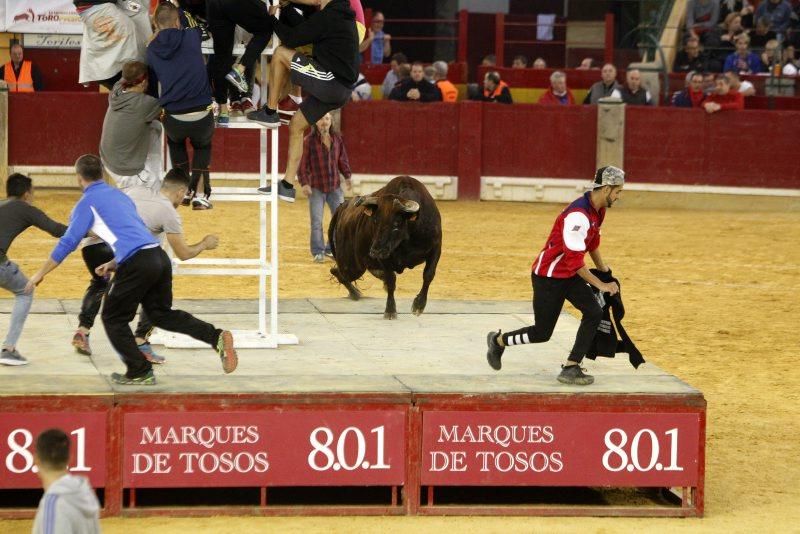 Vaquillas del 9 de octubre