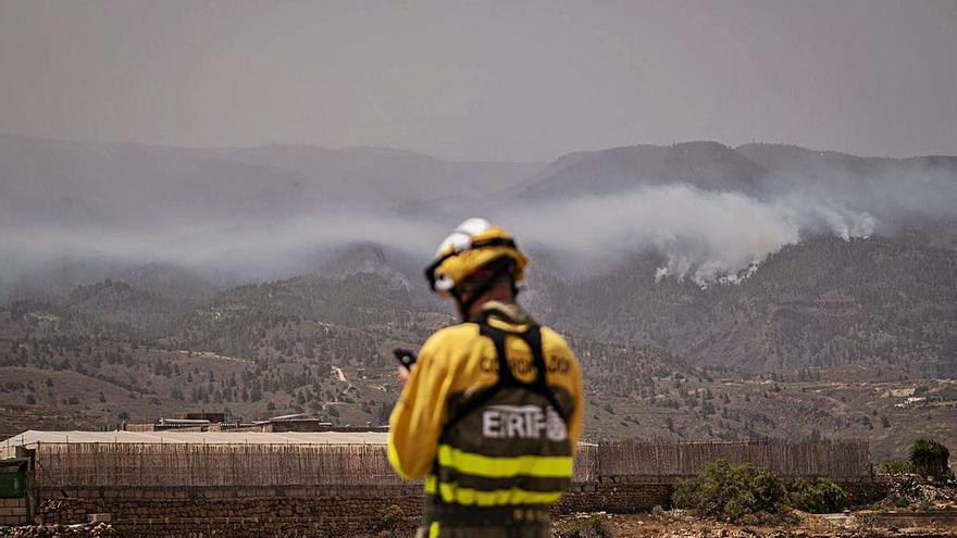 Labores para extinguir el fuego declarado en Arico.