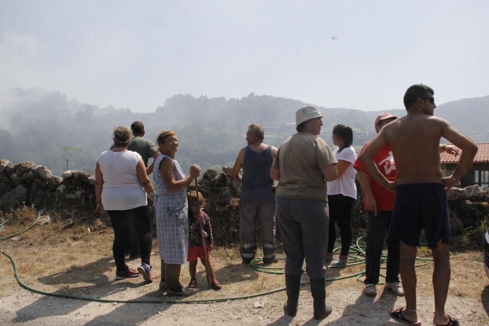 Incendios en Galicia | Vecinos de Cotobade intentan alejar el fuego de sus casas