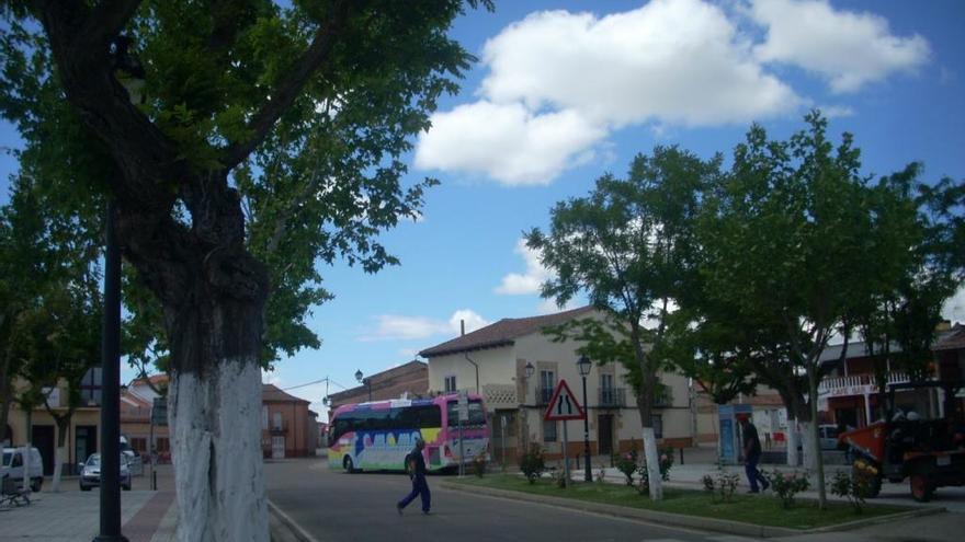 Autobús escolar en la provincia.