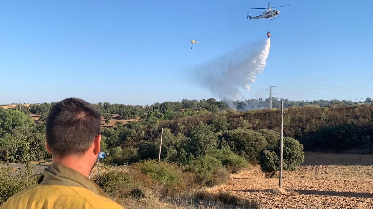 Incendio entre Carbajales y Manzanal del Barco.