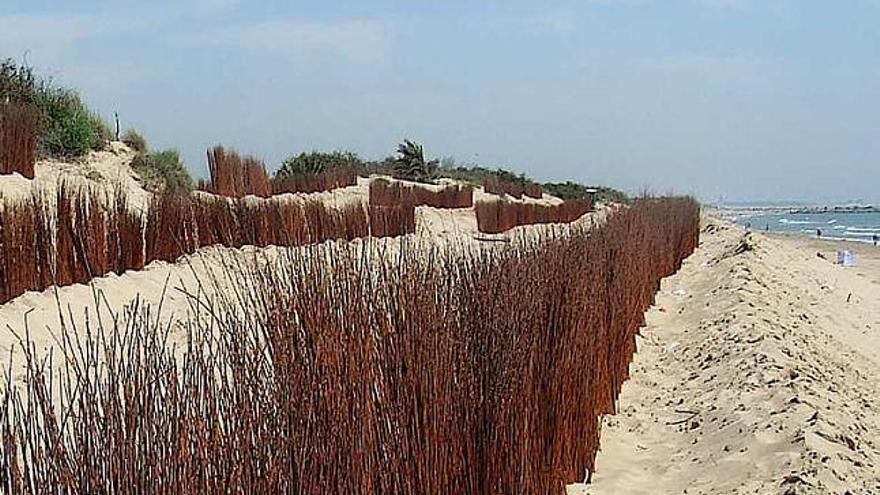 Dunas de Guardamar, el principal motivo del deslinde.