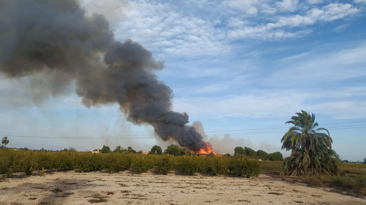 Incendio de un huerto de palmeras en la carretera que conduce a La Marina