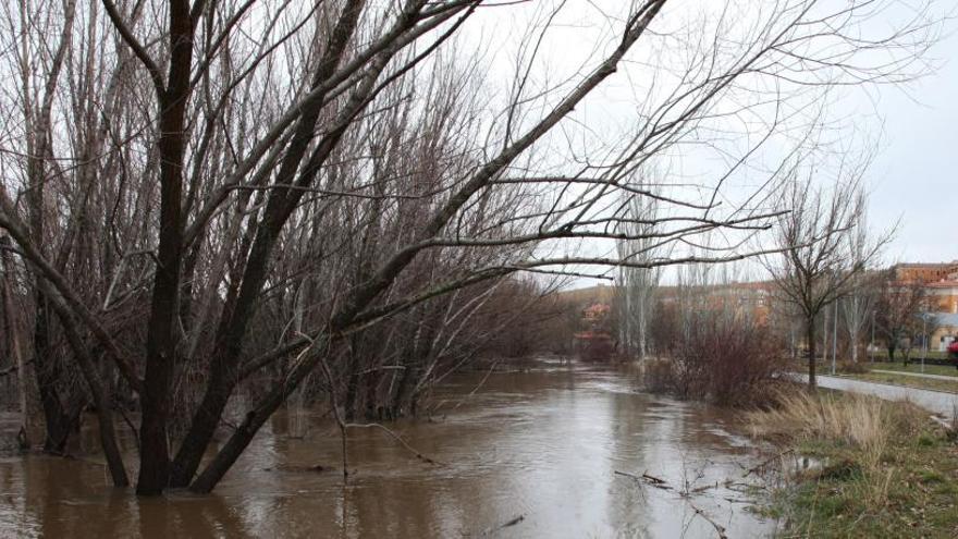 Río Adaja a su paso por Ávila