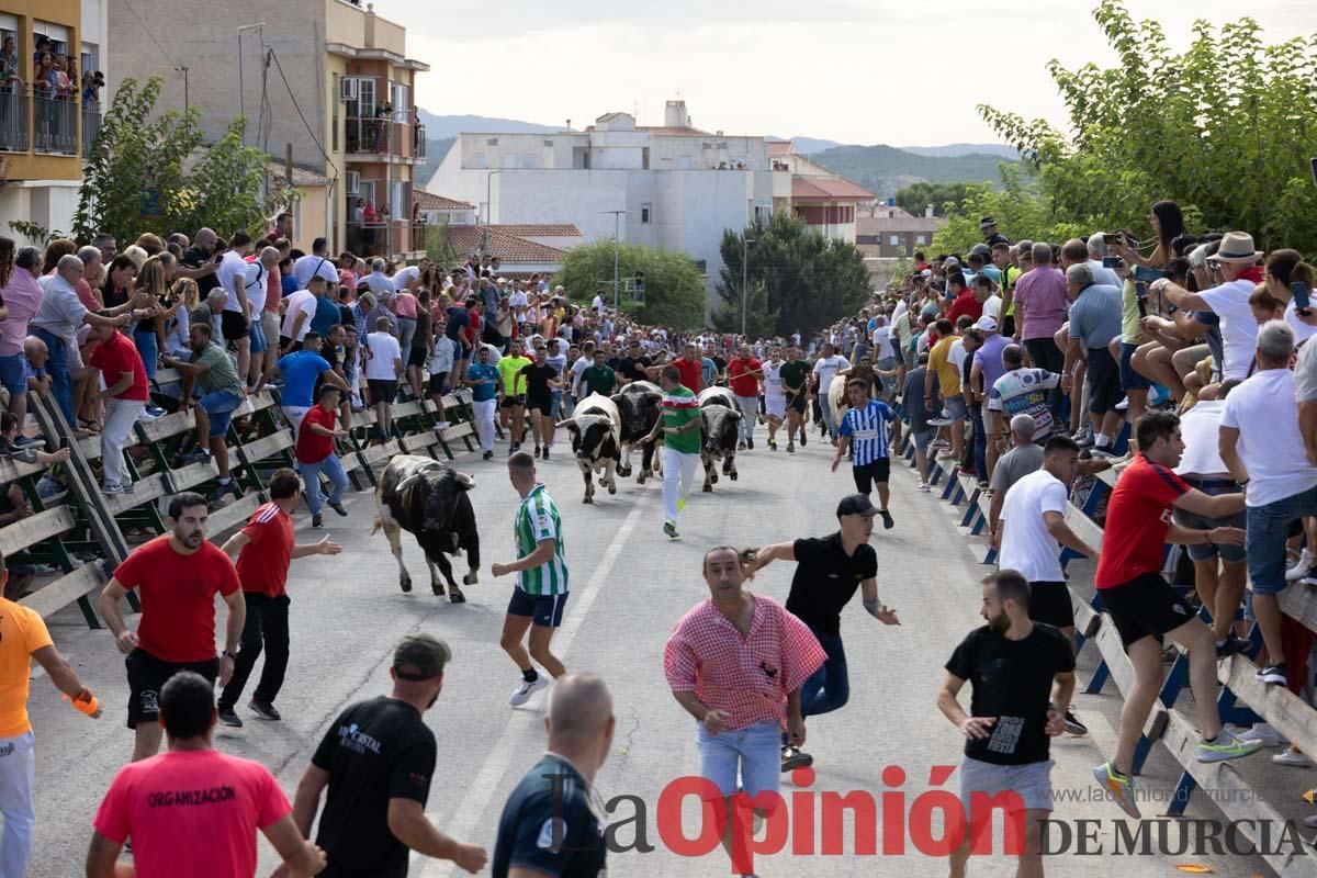 Primer encierro de la Feria del Arroz de Calasparra