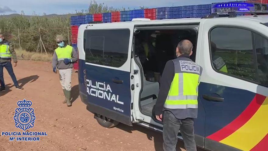 Quince detenidos por falsedad documental tras inspeccionar una finca agrícola.