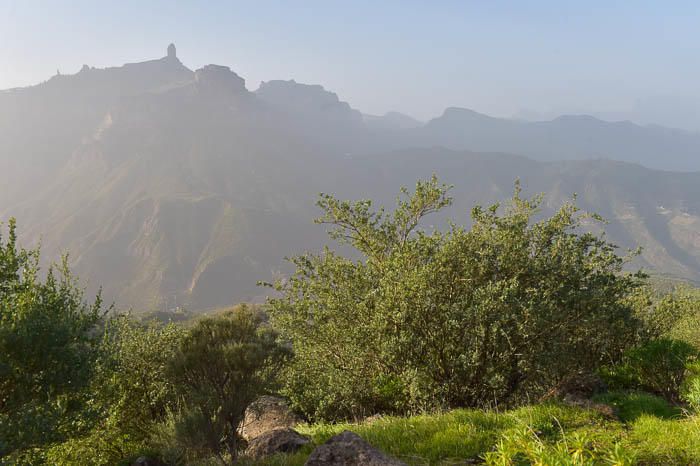 Calima en la cumbre de Gran Canaria