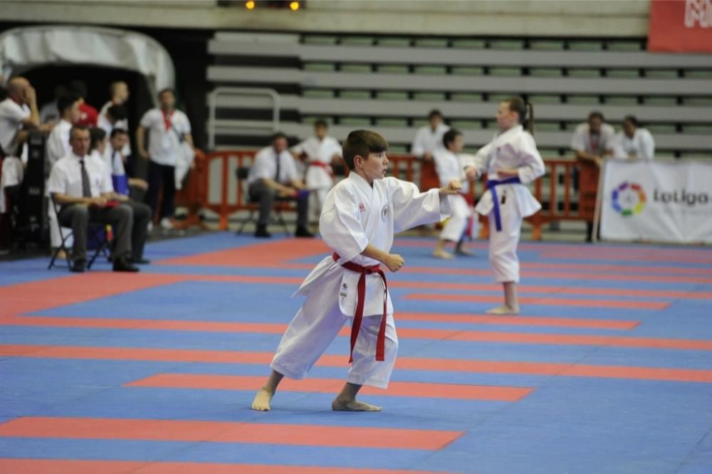 Campeonato de España de Karate en el Palacio de los Deportes