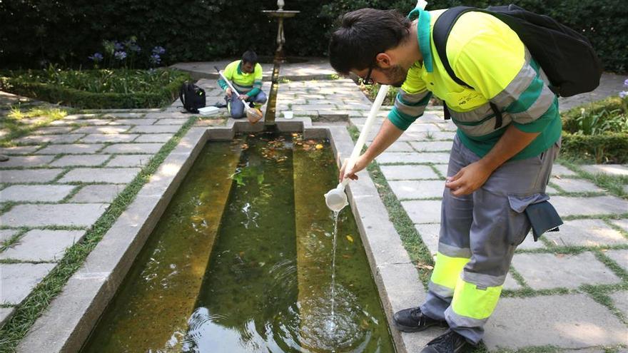 Empresas de control de plagas piden reforzar el control contra el mosquito tigre