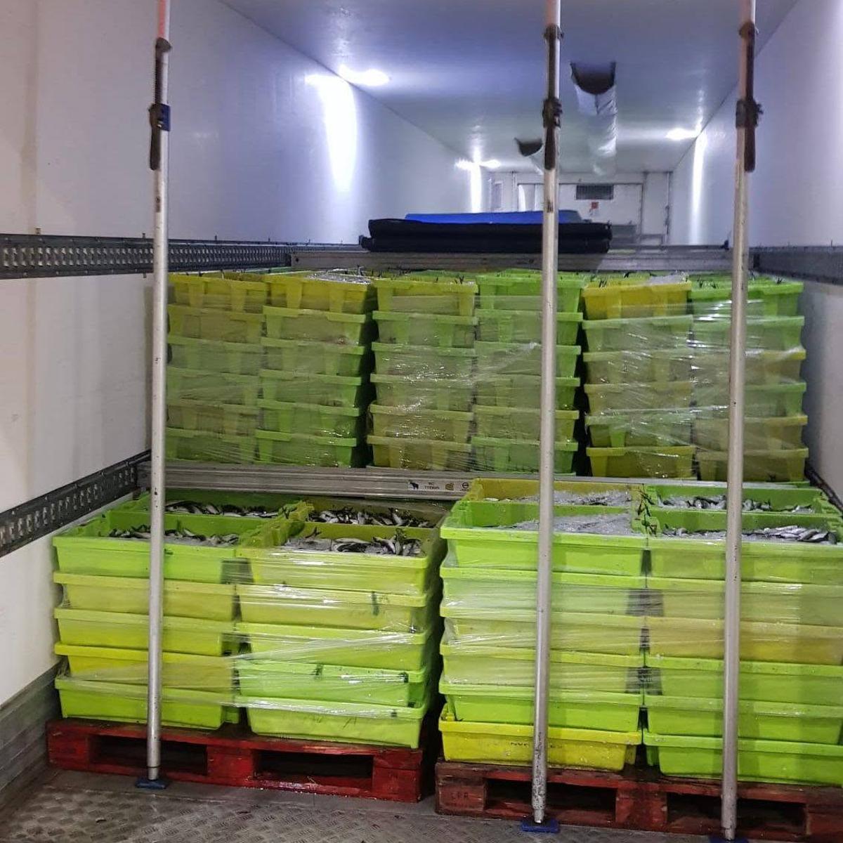 Cargamento de sardinas decomisado en la lonja de Vilanova.