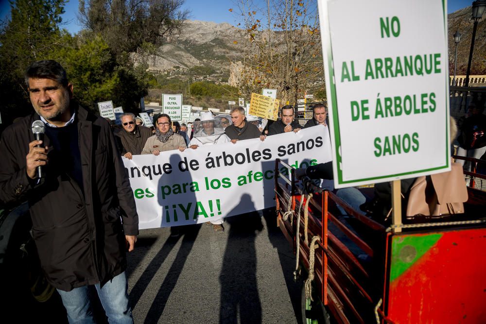 Agricultores de la provincia se manifiestan contra el plan de erradicación de la Xylella del Consell