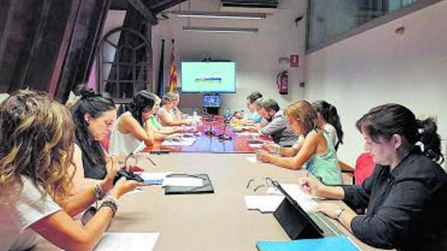 El ple del Consell Comarcal de l’Alt Urgell d’aquest mes | CCAU