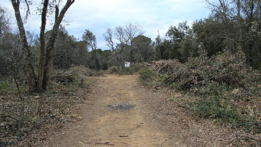 Els veïns de Quart volen aturar la tala del bosc de Can Ferriol