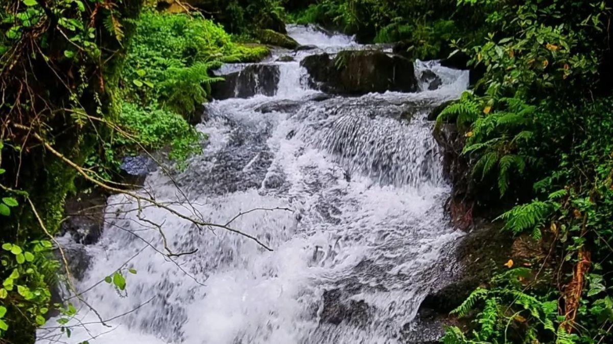 Más de 30 molinos y una leyenda trágica: la ruta a 40 minutos de Santiago para estrenar la primavera entre agua y musgo