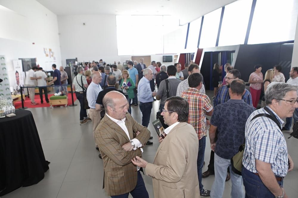 Salón de la sidra en Gijón