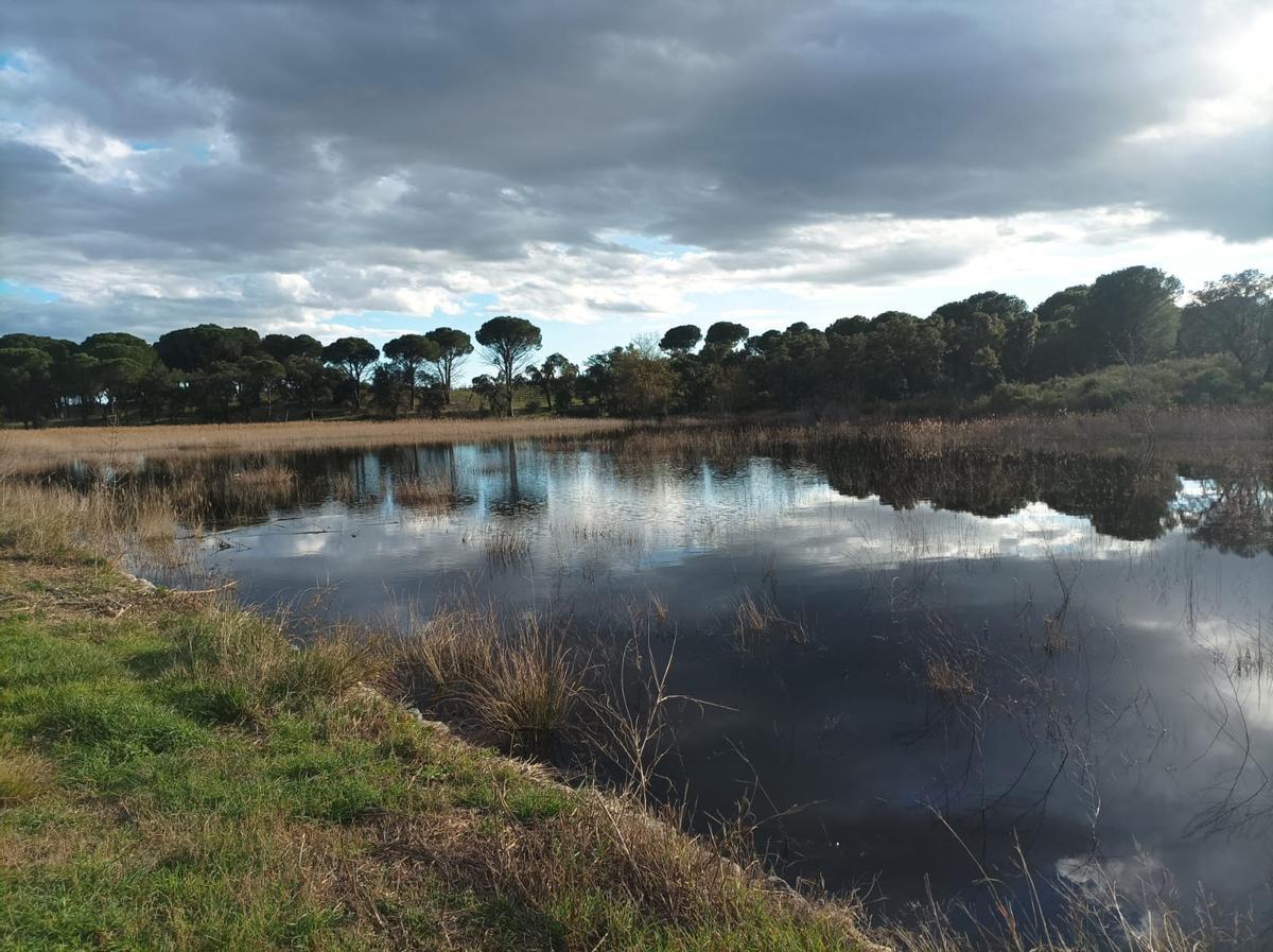 L'estany de la Cardonera, entre Sant Climent Sescebes i Capmany, sense la tramuntana