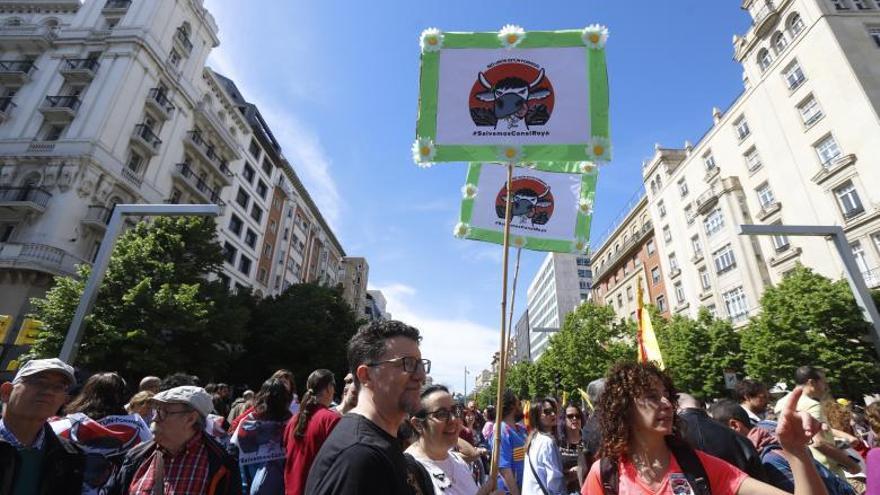 Protesta por Canal Roya, este domingo en la plaza España de Zaragoza. | ANDREEA VORNICU