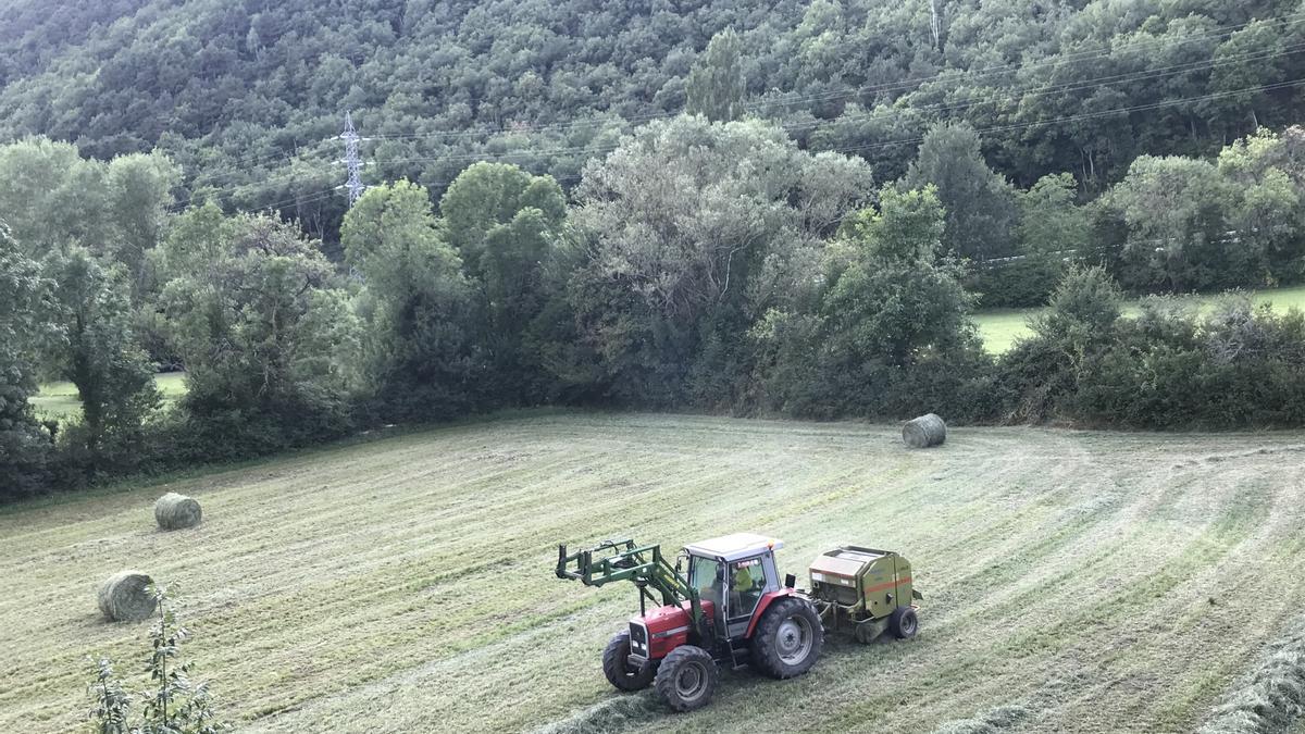 Un tractor recoge alpacas de hierba en un campo aragonés.