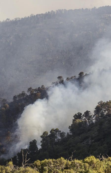 Efectivos trabajando en las labores de extinción