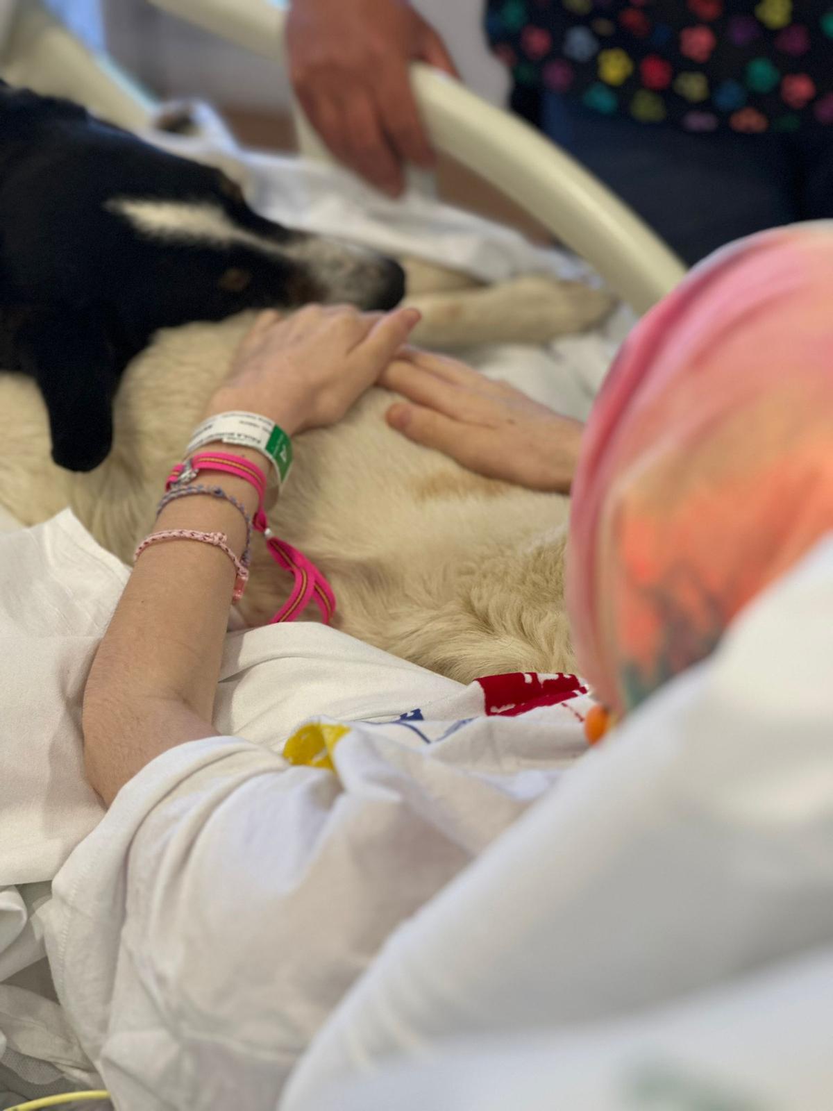 Una paciente oncológica pediátrica del Hospital Materno Infantil durante la última sesión de terapia canina.