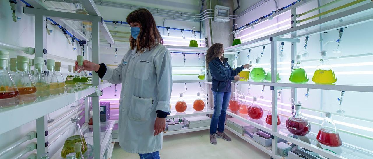 Laboratorios de la Estación de Ciencias Marinas de Toralla (Ecimat).
