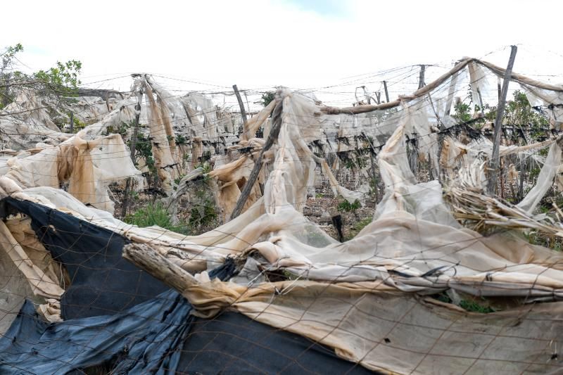 Invernaderos abandonados en la zona de acceso a Playa Vargas