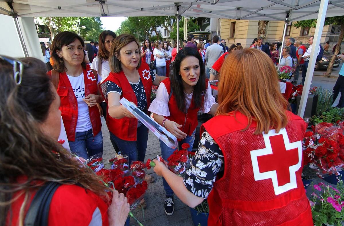 Cruz Roja reparte claveles por la igualdad