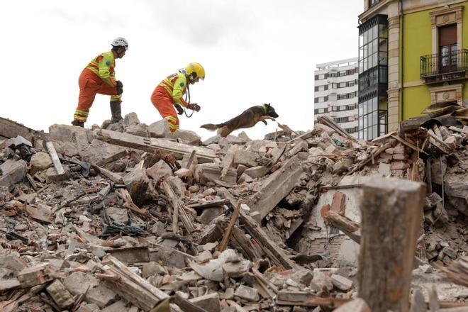 El entrenamiento de la Unidad Canina de Rescate del Principado en Gijón, en imágenes