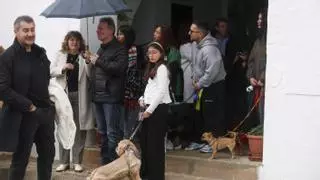 Una celebración de Sant Antoni imprescindible