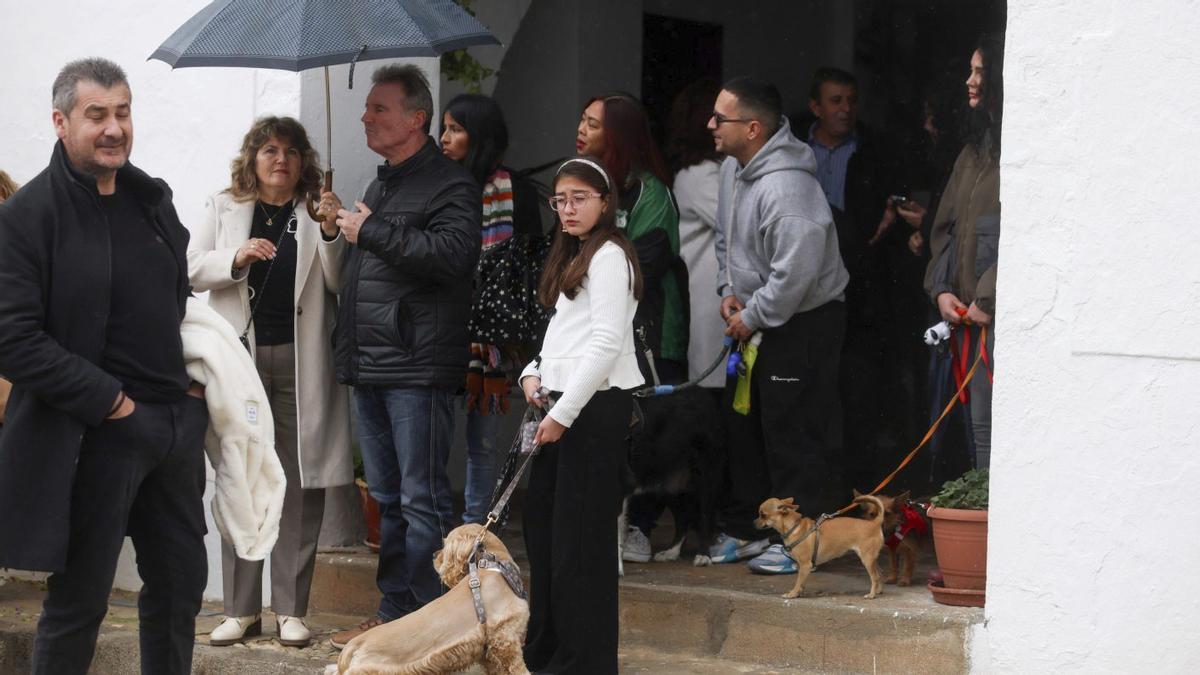 Una celebración de Sant Antoni imprescindible | TONI ESCOBAR