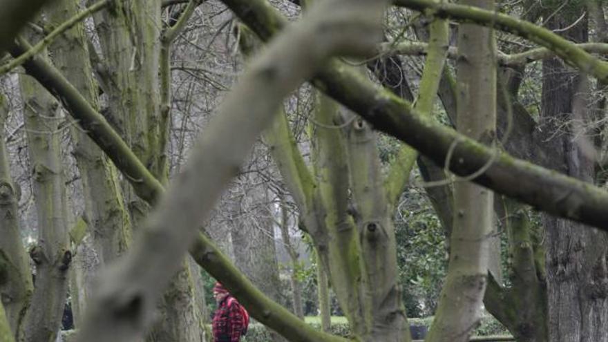 Un paseante, en el parque de Isabel la Católica.