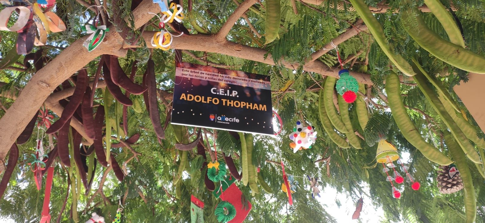 Escolares de Arrecife adornan los árboles para recibir a Papá Noel