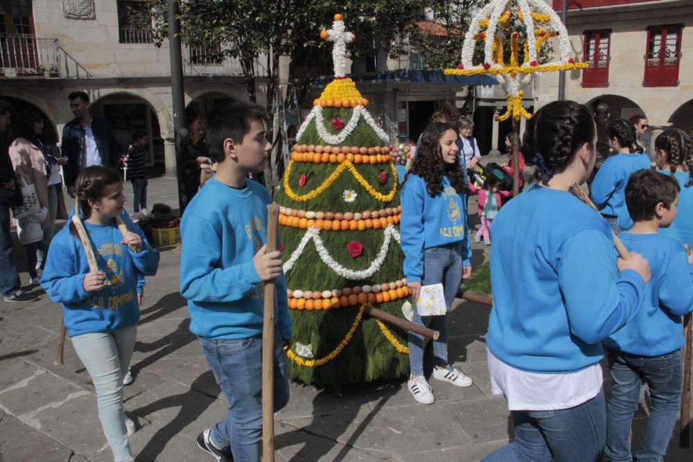 Cantos, humor y flores en los "maios" de Pontevedra