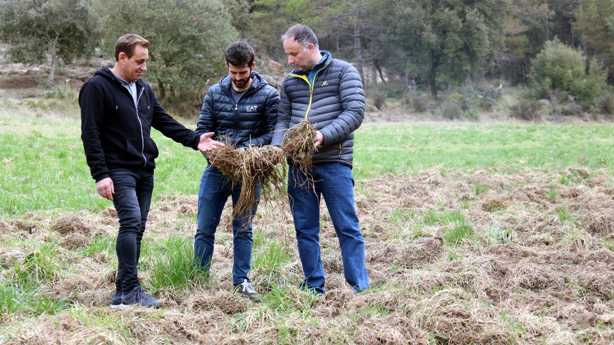 Representants d&#039;Unió de Pagesos en un camp del Berguedà, a Sagàs, completament furgat pel porc senglar