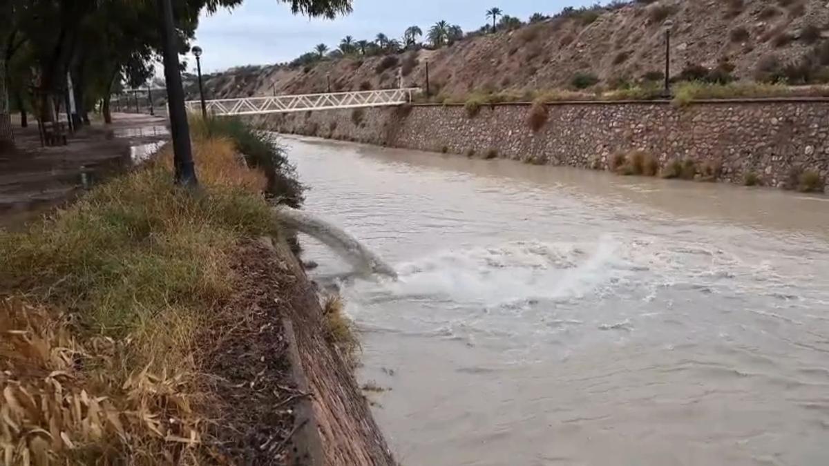 Así baja el río Vinalopó a su paso por Elche debido a las intensas lluvias por la dana