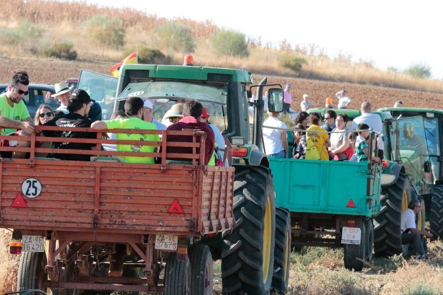 Fiestas en Zamora: Encierro en El Pego