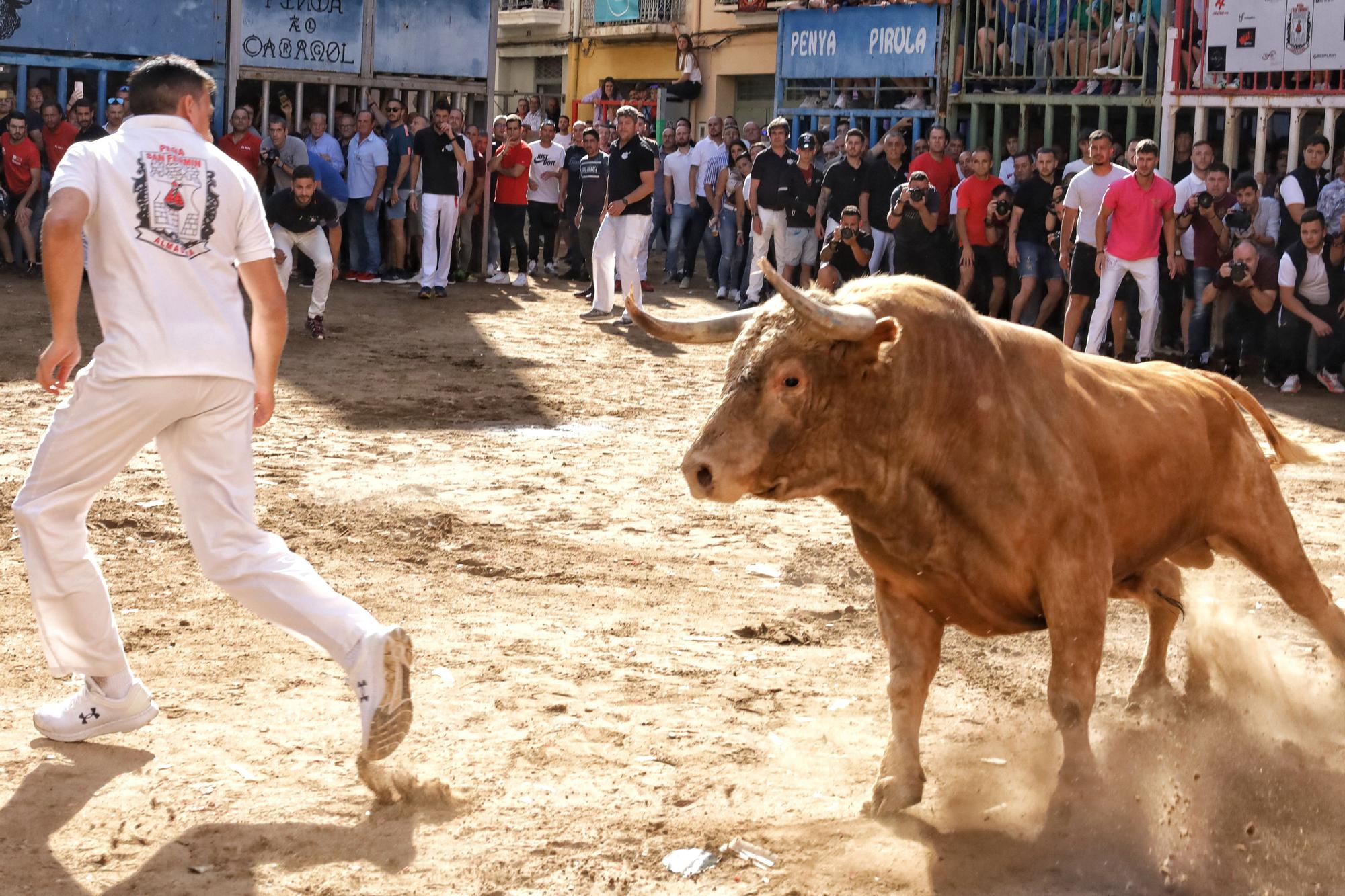 MACROGALERÍA DE FOTOS: Búscate en el encierro y los primeros 'bous' de las fiestas de Almassora