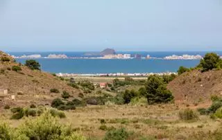 La restauración llega a la zona cero de los vertidos mineros al Mar Menor