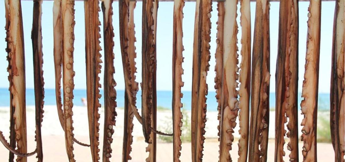 Tiempo de pulpo en Dénia