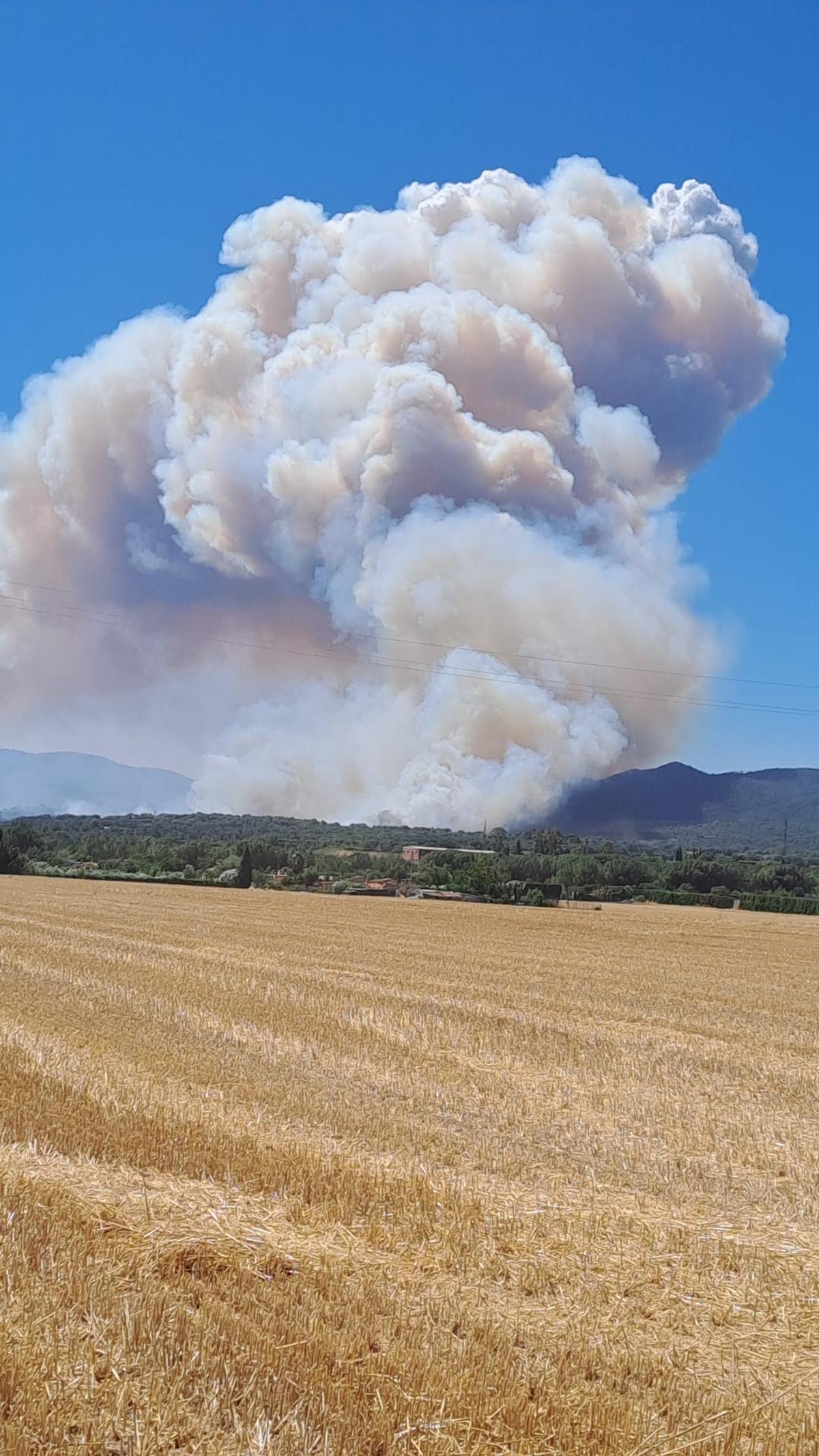 Crema sense control un incendi forestal a peu de les Gavarres a la Bisbal Crema sense control un incendi forestal a peu de les Gavarres a la Bisbal