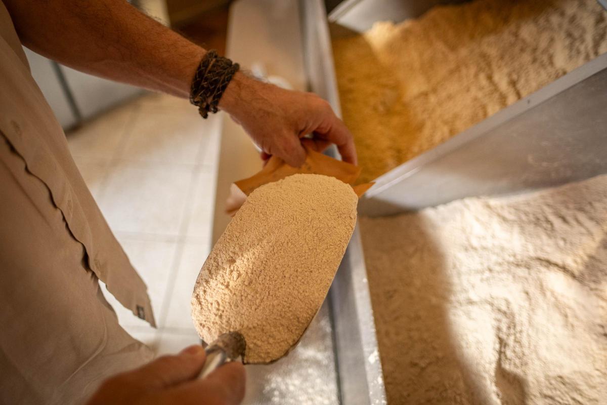 Gofio de mezcla de trigo y millo.