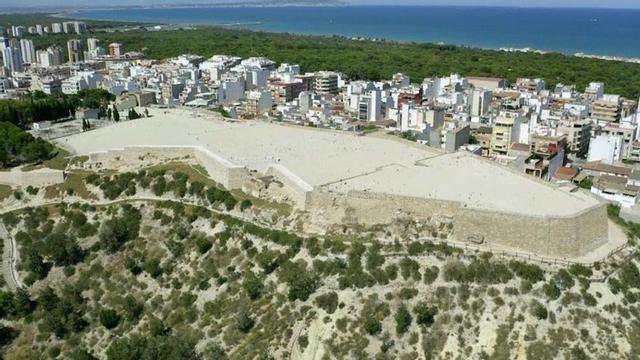 Las playas y pinada de Guardamar desde el Castell.