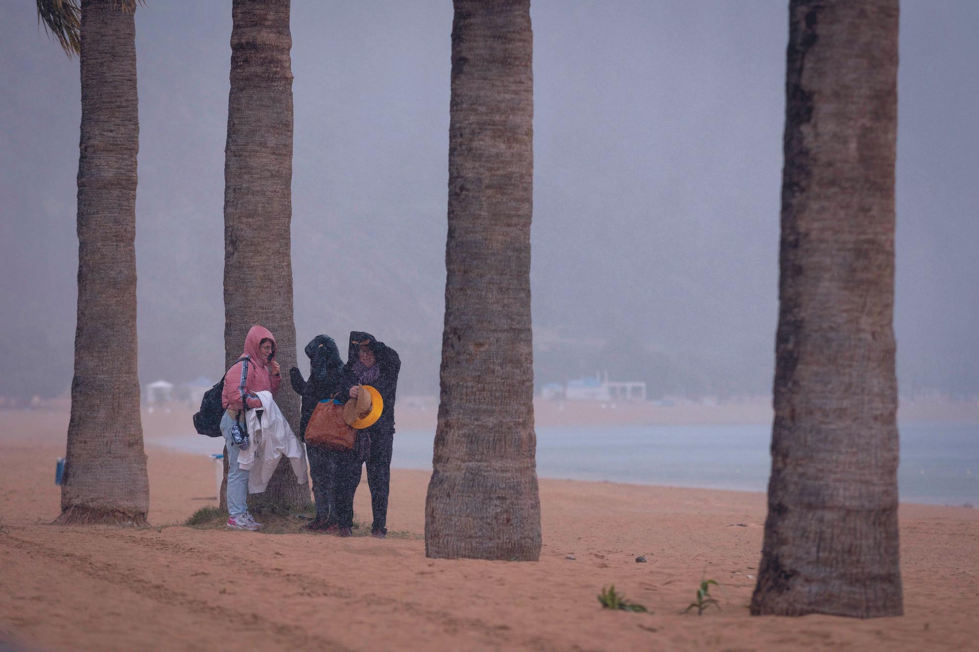 Varias turistas se cobijan del temporal bajo unas palmeras en la playa santacrucera de Las Teresitas.